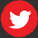 Armenian voice over twitter